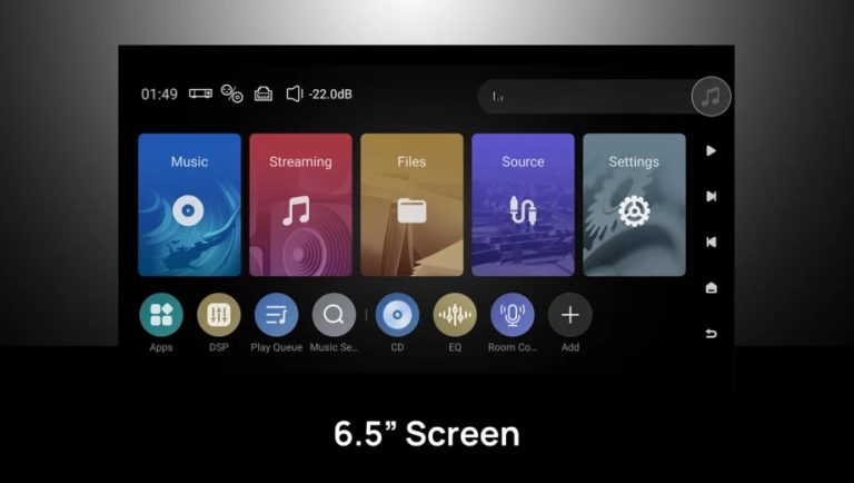 DMP-A10 LCD screen