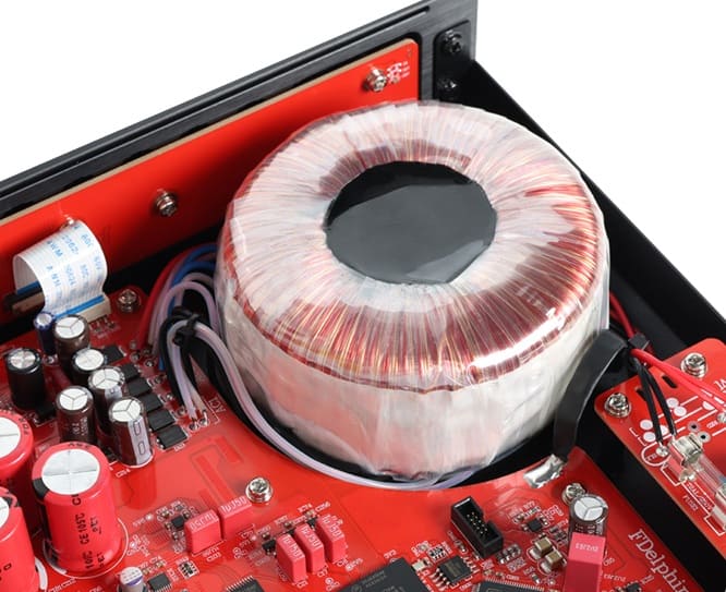 Musician Delphinus PSU